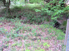 Millbrook Colliery Tramway, May 2010